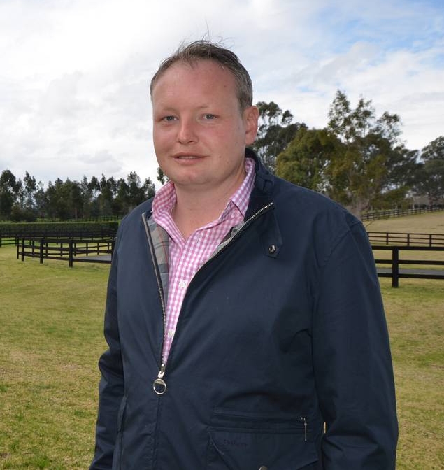 CRITERION x EXCELEINE Yearling Colt with GAI and ADRIAN